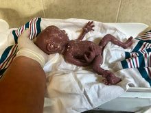 Load image into Gallery viewer, Full body silicone baby girl crier 12&quot; Bald
