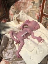 Load image into Gallery viewer, Full body silicone premature baby in soft blend

