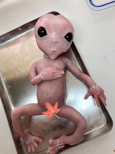 Load image into Gallery viewer, Full body silicone fantasy alien baby girl
