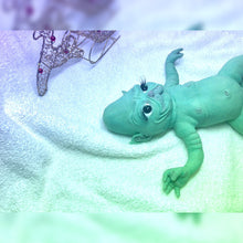 Load image into Gallery viewer, Full body silicone Grinch inspired baby boy 11”
