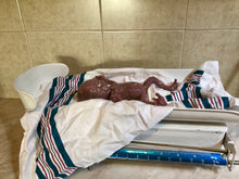 Load image into Gallery viewer, Full body silicone baby girl crier 12&quot; Bald
