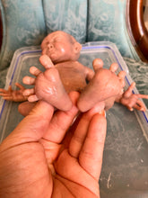 Load image into Gallery viewer, Full body silicone Collette 12&quot; blank kit
