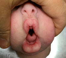 Load image into Gallery viewer, Blank (unpainted) silicone baby tongue (soft blend platinum cure silicone)
