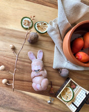 Load image into Gallery viewer, Full body silicone mini baby bunny
