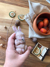 Load image into Gallery viewer, Full body silicone mini baby bunny
