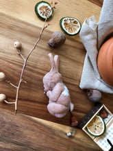Load image into Gallery viewer, Full body silicone mini baby bunny
