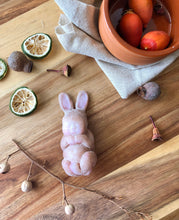Load image into Gallery viewer, Full body silicone mini baby bunny
