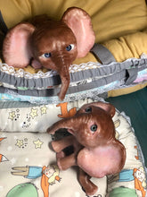 Load image into Gallery viewer, Full body silicone Lana elephants (TWINS)
