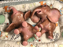 Load image into Gallery viewer, Full body silicone Lana elephants (TWINS)
