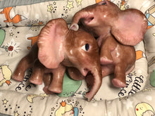 Load image into Gallery viewer, Boo boo Full body silicone Lana elephant baby girl
