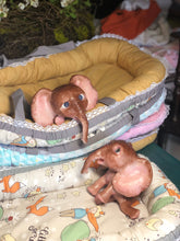 Load image into Gallery viewer, Boo boo Full body silicone Lana elephant baby girl
