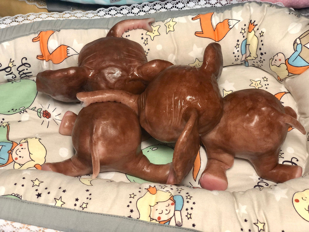 Full body silicone Lana elephants (TWINS)