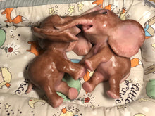 Load image into Gallery viewer, Full body silicone Lana elephants (TWINS)
