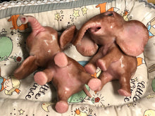 Load image into Gallery viewer, Boo boo Full body silicone Lana elephant baby girl
