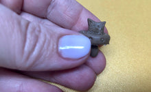 Load image into Gallery viewer, Silicone dummy #3 for silicone baby
