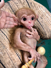 Load image into Gallery viewer, Full body silicone baby monkey Bibi in super soft marshmallow blend
