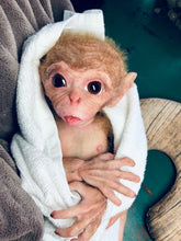 Load image into Gallery viewer, Full body silicone baby monkey Bibi in super soft marshmallow blend
