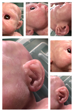 Load image into Gallery viewer, Tutorial on adding baby peachy fuzz to Silicone baby
