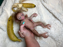 Load image into Gallery viewer, Full body silicone mini baby monkey in marshmallow soft blend

