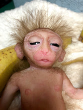 Load image into Gallery viewer, Full body silicone mini baby monkey in marshmallow soft blend
