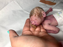 Load image into Gallery viewer, Super detailed Full body silicone premature baby Sunshine in soft blend 9”
