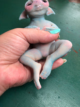 Load image into Gallery viewer, full body mini fantasy silicone baby Ledel
