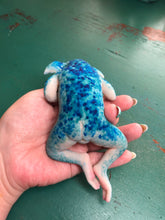 Load image into Gallery viewer, full body mini fantasy silicone baby Ledel
