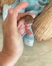 Load image into Gallery viewer, Custom fbs premature baby Leo in soft blend 9”
