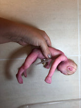Load image into Gallery viewer, Super detailed Full body silicone premature baby Sunshine in soft blend 9”
