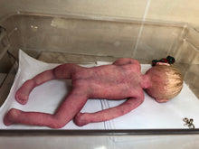 Load image into Gallery viewer, Super detailed Full body silicone premature baby Sunshine in soft blend 9”
