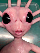 Load image into Gallery viewer, Full body silicone alien squid baby Nova
