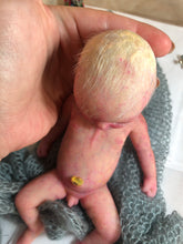 Load image into Gallery viewer, full body mini silicone baby boy Kenzo 8” in super soft blend with 3D skin effect
