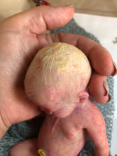 Load image into Gallery viewer, full body mini silicone baby boy Kenzo 8” in super soft blend with 3D skin effect
