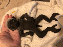 Load image into Gallery viewer, Full body silicone mini baby monkey in marshmallow soft blend
