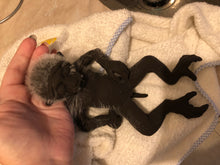 Load image into Gallery viewer, Full body silicone mini baby monkey in marshmallow soft blend
