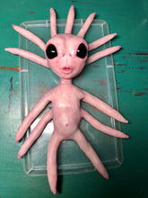 Load image into Gallery viewer, Full body silicone alien squid baby Nova
