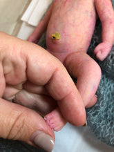 Load image into Gallery viewer, full body mini silicone baby boy Kenzo 8” in super soft blend with 3D skin effect
