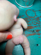 Load image into Gallery viewer, Custom full body silicone mini doll Laney (bald) in Super Soft blend #3
