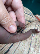 Load image into Gallery viewer, CUSTOM biracial full body silicone mini baby Lucas in soft blend asleep bald
