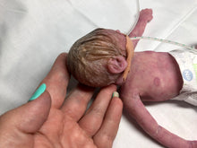 Load image into Gallery viewer, Super detailed Full body silicone premature baby Sunshine in soft blend 9”
