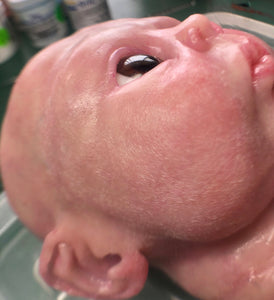 Tutorial on adding baby peachy fuzz to Silicone baby