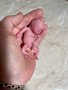 AVAILABLE full body silicone mini kit Leo( baby boy) in super soft blend with 3D skin effect - project “I exist!”
