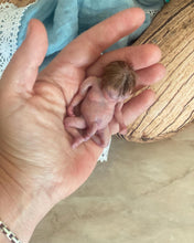 Load image into Gallery viewer, Custom fbs premature baby Leo in soft blend 9”
