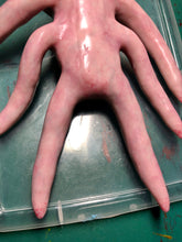 Load image into Gallery viewer, Full body silicone alien squid baby Nova
