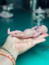 Load image into Gallery viewer, CUSTOM full body silicone mini baby Lucas in soft blend asleep bald
